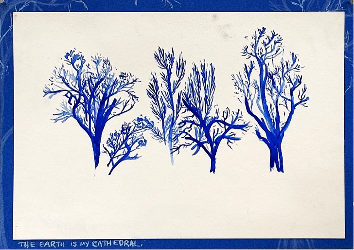 Artwork by Amelia Browne