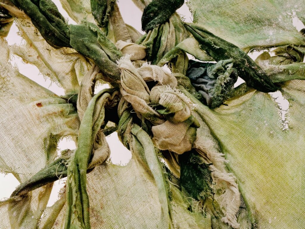 Artwork by Caitlín O’ Doherty